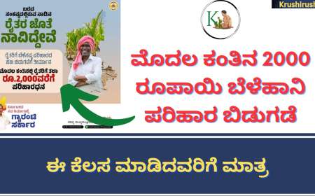 It is compulsory to get croploss compensation-ಮೊದಲ ಕಂತಿನ 2000 ರೂಪಾಯಿ ಬೆಳೆಹಾನಿ ಪರಿಹಾರ ಬಿಡುಗಡೆ, ಈ ಕೆಲಸ ಮಾಡಿದವರಿಗೆ ಮಾತ್ರ