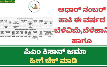 Cropinsurance,crop loss compensation, pmkisan-2023-ಆಧಾರ್ ನಂಬರ್ ಹಾಕಿ ಈ ವರ್ಷದ ಬೆಳೆವಿಮೆ,ಬೆಳೆಹಾನಿ ಹಾಗೂ ಪಿಎಂ ಕಿಸಾನ್ ಜಮಾ ಹೀಗೆ ಚೆಕ್ ಮಾಡಿ