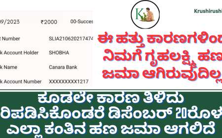 Gruhalakshmi updated news-ಈ ಹತ್ತು ಕಾರಣಗಳಿಂದ ನಿಮಗೆ ಗೃಹಲಕ್ಷ್ಮಿ ಹಣ ಜಮಾ ಆಗಿರುವುದಿಲ್ಲ,ಕೂಡಲೇ ಕಾರಣ ತಿಳಿದು ಸರಿಪಡಿಸಿಕೊಂಡರೆ ಡಿಸೆಂಬರ್ 20ರೊಳಗೆ ಎಲ್ಲಾ ಕಂತಿನ ಹಣ ಜಮಾ ಆಗಲಿದೆ