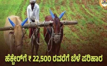 Cm instructed to release croploss compensation-ವಾರದೊಳಗೆ ಅರ್ಹ ರೈತರ ಖಾತೆಗೆ ಬೆಳೆಹಾನಿ ಪರಿಹಾರ ಜಮೆ ಮಾಡಲು ಸಿಎಂ ಸಿದ್ದರಾಮಯ್ಯ ಸೂಚನೆ,ಯಾರಿಗೆ ಎಷ್ಟು ಪರಿಹಾರ ಸಿಗಲಿದೆ ಹೀಗೆ ಚೆಕ್ ಮಾಡಿ