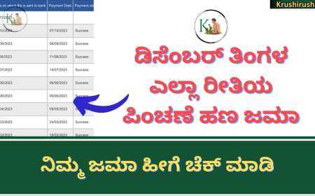 December month pension amount-ಡಿಸೆಂಬರ್ ತಿಂಗಳ ಎಲ್ಲಾ ರೀತಿಯ ಪಿಂಚಣೆ ಹಣ ಜಮಾ,ನಿಮ್ಮ ಜಮಾ ಹೀಗೆ ಚೆಕ್ ಮಾಡಿ
