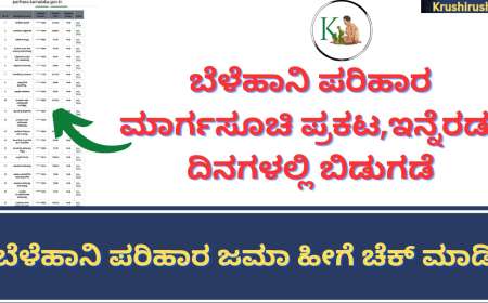 Belehani parihara Status-2023-ಬೆಳೆಹಾನಿ ಪರಿಹಾರ ಮಾರ್ಗಸೂಚಿ ಪ್ರಕಟ,ಇನ್ನೆರಡು ದಿನಗಳಲ್ಲಿ ಬಿಡುಗಡೆ,ಜಮಾ ಸ್ಟೇಟಸ್ ಹೀಗೆ ಚೆಕ್ ಮಾಡಿ