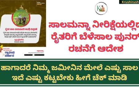Crop loan restructured-ಸಾಲಮನ್ನಾ ನೀರಿಕ್ಷೆಯಲ್ಲಿದ್ದ ರೈತರಿಗೆ ಸಿಹಿಸುದ್ದಿ ನೀಡಿದ ರಾಜ್ಯ ಸರ್ಕಾರ,ಬೆಳೆಸಾಲ ಪುನರ್ ರಚನೆಗೆ ಆದೇಶ, ಹಾಗಾದರೆ ನಿಮ್ಮ ಜಮೀನಿನ ಮೇಲೆ ಎಷ್ಟು ಸಾಲ ಇದೆ ಎಷ್ಟು ಕಟ್ಟಬೇಕು ಹೀಗೆ ಚೆಕ್ ಮಾಡಿ