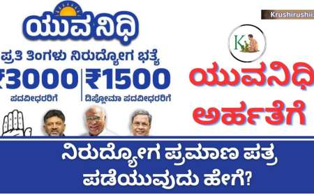 Unemployment certificate for yuvanidhi-ಡಿಸೆಂಬರ್ 26ರಿಂದ ಯುವನಿಧಿ ನೊಂದಣೆ ಪ್ರಾರಂಭ,ನಿರುದ್ಯೋಗ ಪ್ರಮಾಣಪತ್ರ ಪಡೆಯುವ ಡೈರೆಕ್ಟ್ ಲಿಂಕ್
