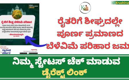 Belevime hana bidugade-ರೈತರಿಗೆ ಪೂರ್ಣ ಪ್ರಮಾಣದ ಬೆಳೆವಿಮೆ ಪರಿಹಾರ ಬಿಡುಗಡೆ, ನಿಮ್ಮ ಸ್ಟೇಟಸ್ ಚೆಕ್ ಮಾಡುವ ಡೈರೆಕ್ಟ್ ಲಿಂಕ್