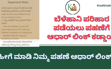 How to link RTC with Aadhaar-ಬೆಳೆಹಾನಿ ಪರಿಹಾರ ಪಡೆಯಲು ಪಹಣೆಗೆ ಆಧಾರ್ ಲಿಂಕ್ ಕಡ್ಡಾಯ, ಹೀಗೆ ಮಾಡಿ ನಿಮ್ಮ ಪಹಣೆ ಆಧಾರ್ ಲಿಂಕ್