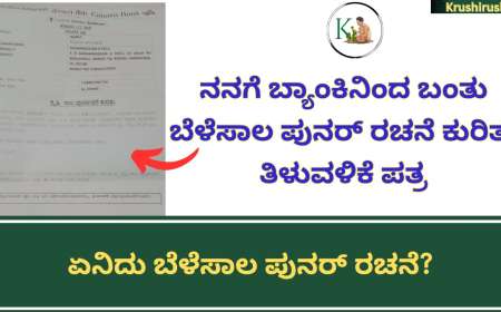 Belesala punarachane-ನನಗೆ ಬ್ಯಾಂಕಿನಿಂದ ಬಂತು ಬೆಳೆಸಾಲ ಪುನರ್ ರಚನೆ ಕುರಿತು ತಿಳುವಳಿಕೆ ಪತ್ರ,ಏನಿದು ಬೆಳೆಸಾಲ ಪುನರ್ ರಚನೆ? ಹಾಗಾದರೆ ನಿಮ್ಮ ಹೊಲದ ಮೇಲೆ ಎಷ್ಟು ಬೆಳೆಸಾಲ ಇದೆ? ಎಷ್ಟು ಕಟ್ಟಬೇಕು?