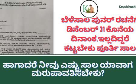 Crop loan restructuring-ಬೆಳೆಸಾಲ ಪುನರ್ ರಚನೆಗೆ ಡಿಸೆಂಬರ್ 31 ಕೊನೆಯ ದಿನಾಂಕ, ಇಲ್ಲದಿದ್ದರೆ ಕಟ್ಟಬೇಕು ಪೂರ್ತಿ ಸಾಲ, ಹಾಗಾದರೆ ನೀವು ಎಷ್ಟು ಸಾಲ ಯಾವಾಗ ಮರುಪಾವತಿಸಬೇಕು?
