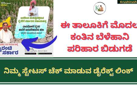 1st instalment of croploss compensation to this taluk-ಈ ತಾಲೂಕಿಗೆ ಮೊದಲ ಕಂತಿನ ಬೆಳೆಹಾನಿ ಪರಿಹಾರ ಬಿಡುಗಡೆ,ನಿಮ್ಮ ಸ್ಟೇಟಸ್ ಚೆಕ್ ಮಾಡುವ ಡೈರೆಕ್ಟ್ ಲಿಂಕ್
