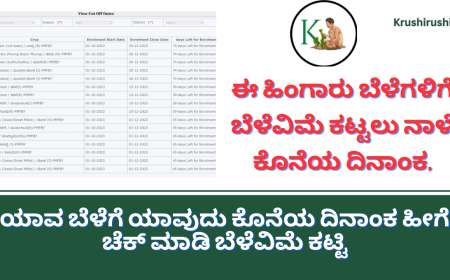 Last date for Rabi cropinsurance-ಈ ಹಿಂಗಾರು ಬೆಳೆಗಳಿಗೆ ಬೆಳೆವಿಮೆ ಕಟ್ಟಲು ಇಂದು ಕೊನೆಯ ದಿನಾಂಕ,ಯಾವ ಬೆಳೆಗೆ ಯಾವುದು ಕೊನೆಯ ದಿನಾಂಕ ಹೀಗೆ ಚೆಕ್ ಮಾಡಿ