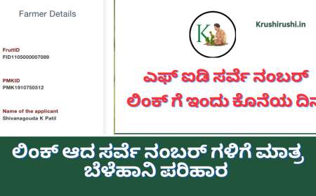 Today is the last date for FID survey number link-ಎಫ್ ಐಡಿ ಸರ್ವೆ ನಂಬರ್ ಲಿಂಕ್ ಗೆ ಇಂದು ಕೊನೆಯ ದಿನ,ಲಿಂಕ್ ಆದ ಸರ್ವೆ ನಂಬರ್ ಗಳಿಗೆ ಮಾತ್ರ ಬೆಳೆಹಾನಿ ಪರಿಹಾರ,ನಿಮ್ಮ ಸ್ಟೇಟಸ್ ಚೆಕ್ ಮಾಡುವ ಡೈರೆಕ್ಟ್ ಲಿಂಕ್