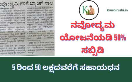 Krishi Navodyama Scheme-ಕೃಷಿ ನವೋದ್ಯಮ ಯೋಜನೆಯಡಿ 50% ಸಬ್ಸಿಡಿಯೊಂದಿಗೆ 5 ರಿಂದ 50 ಲಕ್ಷದವರೆಗೆ ಸಹಾಯಧನ