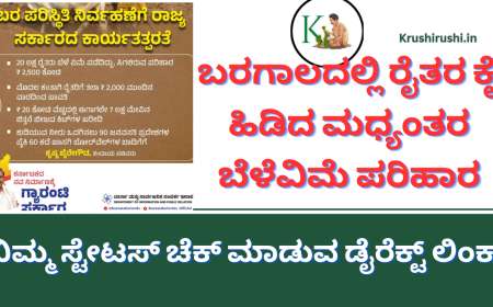 Madyanthara belevime parihara-ಬರಗಾಲದಲ್ಲಿ ರೈತರ ಕೈ ಹಿಡಿದ ಮಧ್ಯಂತರ ಬೆಳೆವಿಮೆ ಪರಿಹಾರ,ನಿಮ್ಮ ಸ್ಟೇಟಸ್ ಚೆಕ್ ಮಾಡುವ ಡೈರೆಕ್ಟ್ ಲಿಂಕ್