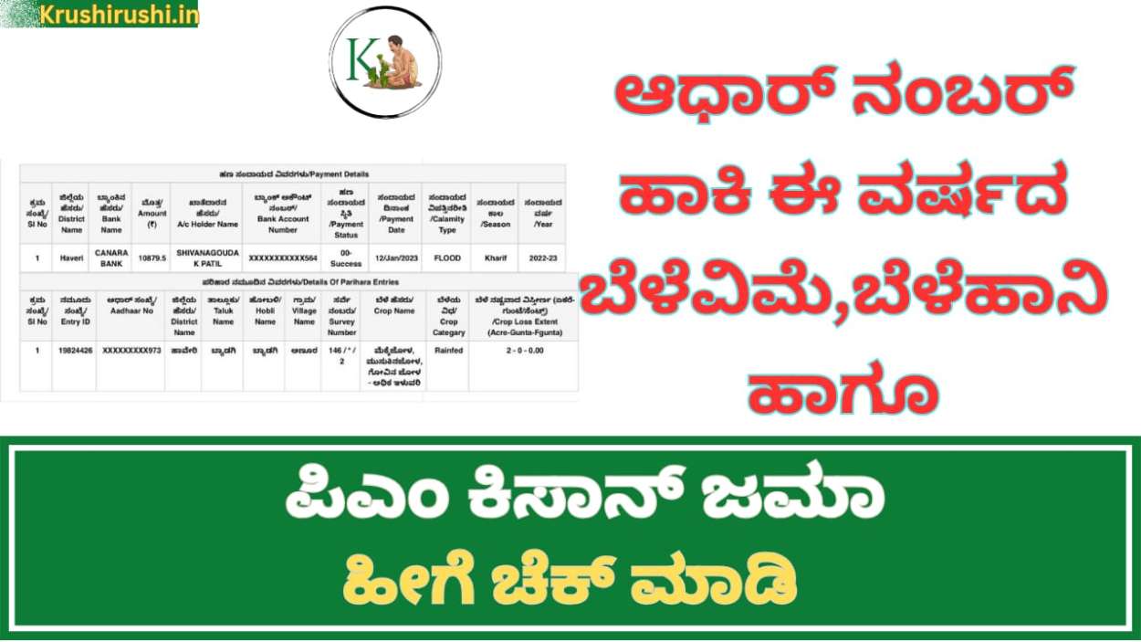 Cropinsurance,crop loss compensation, pmkisan-2023-ಆಧಾರ್ ನಂಬರ್ ಹಾಕಿ ಈ ವರ್ಷದ ಬೆಳೆವಿಮೆ,ಬೆಳೆಹಾನಿ ಹಾಗೂ ಪಿಎಂ ಕಿಸಾನ್ ಜಮಾ ಹೀಗೆ ಚೆಕ್ ಮಾಡಿ