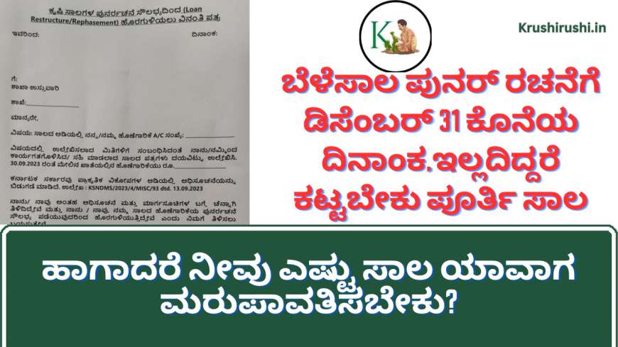 Crop loan restructuring-ಬೆಳೆಸಾಲ ಪುನರ್ ರಚನೆಗೆ ಡಿಸೆಂಬರ್ 31 ಕೊನೆಯ ದಿನಾಂಕ, ಇಲ್ಲದಿದ್ದರೆ ಕಟ್ಟಬೇಕು ಪೂರ್ತಿ ಸಾಲ, ಹಾಗಾದರೆ ನೀವು ಎಷ್ಟು ಸಾಲ ಯಾವಾಗ ಮರುಪಾವತಿಸಬೇಕು?