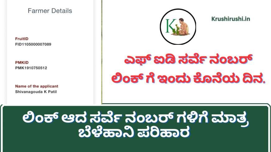 Today is the last date for FID survey number link-ಎಫ್ ಐಡಿ ಸರ್ವೆ ನಂಬರ್ ಲಿಂಕ್ ಗೆ ಇಂದು ಕೊನೆಯ ದಿನ,ಲಿಂಕ್ ಆದ ಸರ್ವೆ ನಂಬರ್ ಗಳಿಗೆ ಮಾತ್ರ ಬೆಳೆಹಾನಿ ಪರಿಹಾರ,ನಿಮ್ಮ ಸ್ಟೇಟಸ್ ಚೆಕ್ ಮಾಡುವ ಡೈರೆಕ್ಟ್ ಲಿಂಕ್