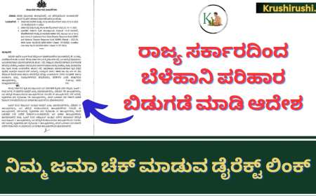 Belehani parihara bidugade adesha-ರಾಜ್ಯ ಸರ್ಕಾರದಿಂದ ಬೆಳೆಹಾನಿ ಪರಿಹಾರ ಬಿಡುಗಡೆ ಮಾಡಿ ಆದೇಶ, ನಿಮ್ಮ ಜಮಾ ಚೆಕ್ ಮಾಡುವ ಡೈರೆಕ್ಟ್ ಲಿಂಕ್