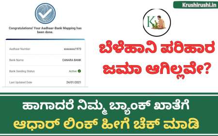 Croploss compensation to Aadhaar linked bank account-ಬೆಳೆಹಾನಿ ಪರಿಹಾರ ಜಮಾ ಆಗಿಲ್ಲವೇ? ಹಾಗಾದರೆ ನಿಮ್ಮ ಬ್ಯಾಂಕ್ ಖಾತೆಗೆ ಆಧಾರ್ ಲಿಂಕ್ ಹೀಗೆ ಚೆಕ್ ಮಾಡಿ