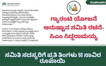 Guarantee implementation committee-ಗ್ಯಾರಂಟಿ ಯೋಜನೆ ಅನುಷ್ಟಾನ ಸಮಿತಿ ರಚನೆ, ಕಾರ್ಯಕರ್ತ ಸಮಿತಿ ಸದಸ್ಯರಿಗೆ ಪ್ರತಿ ತಿಂಗಳು 50 ಸಾವಿರ ರೂಪಾಯಿ-ಸಿಎಂ ಸಿದ್ದರಾಮಯ್ಯ