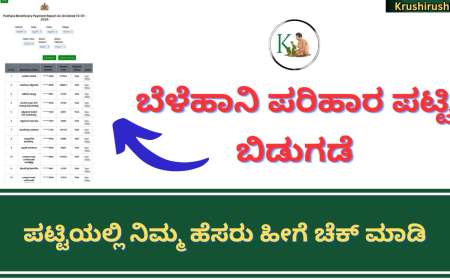Croploss compensation list-ಬೆಳೆಹಾನಿ ಪರಿಹಾರ ಪಟ್ಟಿ ಬಿಡುಗಡೆ,ಪಟ್ಟಿಯಲ್ಲಿ ನಿಮ್ಮ ಹೆಸರು ಹೀಗೆ ಚೆಕ್ ಮಾಡಿ
