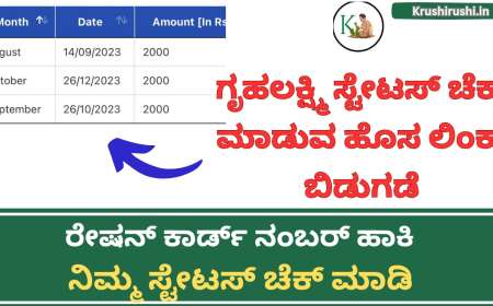 Gruhalakshmi Status check 2024-ಗೃಹಲಕ್ಷ್ಮಿ ಸ್ಟೇಟಸ್ ಚೆಕ್ ಮಾಡುವ ಹೊಸ ಲಿಂಕ್ ಬಿಡುಗಡೆ,ರೇಷನ್ ಕಾರ್ಡ್ ನಂಬರ್ ಹಾಕಿ ನಿಮ್ಮ ಸ್ಟೇಟಸ್ ಚೆಕ್ ಮಾಡಿ