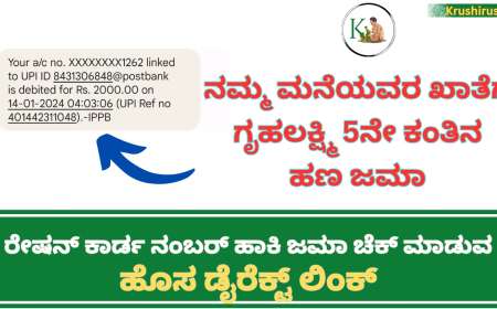 January month Gruhalakshmi amount-ನಮ್ಮ ಮನೆಯವರ ಖಾತೆಗೆ ಗೃಹಲಕ್ಷ್ಮಿ 5ನೇ ಕಂತಿನ ಹಣ ಜಮಾ,ರೇಷನ್ ಕಾರ್ಡ ನಂಬರ್ ಹಾಕಿ ಜಮಾ ಚೆಕ್ ಮಾಡುವ ಹೊಸ ಡೈರೆಕ್ಟ್ ಲಿಂಕ್