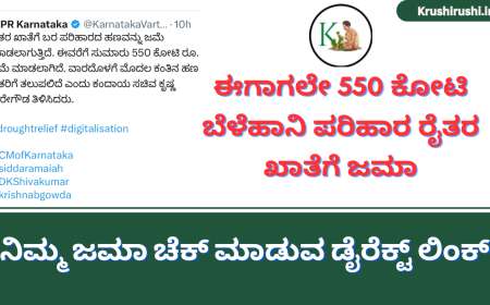 Belehani parihara bidugade-ಈಗಾಗಲೇ 550 ಕೋಟಿ ಬೆಳೆಹಾನಿ ಪರಿಹಾರ ರೈತರ ಖಾತೆಗೆ ಜಮಾ-ಸಚಿವ ಕೃಷ್ಣ ಬೈರೆಗೌಡ,ನಿಮ್ಮ ಜಮಾ ಚೆಕ್ ಮಾಡುವ ಡೈರೆಕ್ಟ್ ಲಿಂಕ್