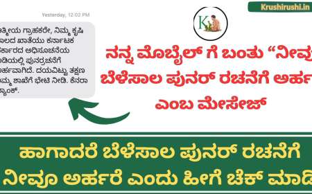 Crop loan restructuring-ನನ್ನ ಮೊಬೈಲ್ ಗೆ ಬಂತು “ನೀವು ಬೆಳೆಸಾಲ ಪುನರ್ ರಚನೆಗೆ ಅರ್ಹ” ಎಂಬ ಮೇಸೇಜ್,ಹಾಗಾದರೆ ಬೆಳೆಸಾಲ ಪುನರ್ ರಚನೆಗೆ ನೀವೂ ಅರ್ಹರೆ ಎಂದು ಹೀಗೆ ಚೆಕ್ ಮಾಡಿ