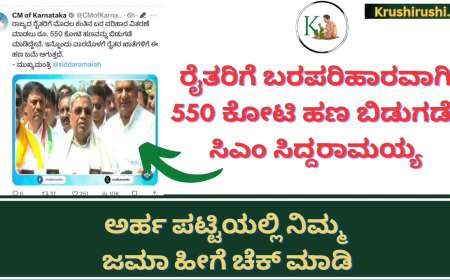 Belehani parihara bidugade-ರೈತರಿಗೆ ಬರಪರಿಹಾರವಾಗಿ 550 ಕೋಟಿ ಹಣ ಬಿಡುಗಡೆ-ಸಿಎಂ ಸಿದ್ದರಾಮಯ್ಯ, ಅರ್ಹ ಪಟ್ಟಿಯಲ್ಲಿ ನಿಮ್ಮ ಜಮಾ ಹೀಗೆ ಚೆಕ್ ಮಾಡಿ