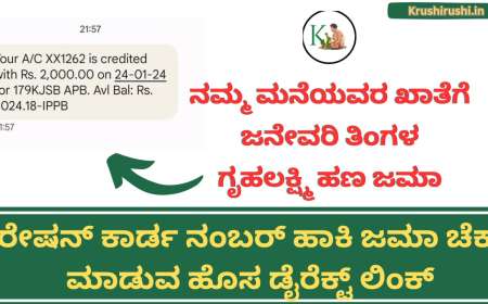 January month Gruhalakshmi amount-ನಮ್ಮ ಮನೆಯವರ ಖಾತೆಗೆ ಜನೇವರಿ ತಿಂಗಳ ಗೃಹಲಕ್ಷ್ಮಿ ಹಣ ಜಮಾ, ರೇಷನ್ ಕಾರ್ಡ ನಂಬರ್ ಹಾಕಿ ಜಮಾ ಚೆಕ್ ಮಾಡುವ ಹೊಸ ಡೈರೆಕ್ಟ್ ಲಿಂಕ್