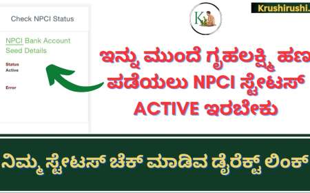 NPCI Status Active-ಇನ್ನು ಮುಂದೆ ಗೃಹಲಕ್ಷ್ಮಿ ಹಣ ಪಡೆಯಲು NPCI ಸ್ಟೇಟಸ್ Active ಇರಬೇಕು,ನಿಮ್ಮ ಸ್ಟೇಟಸ್ ಚೆಕ್ ಮಾಡುವ ಡೈರೆಕ್ಟ್ ಲಿಂಕ್