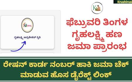 February month Gruhalakshmi amount-ನಮ್ಮ ಮನೆಯವರ ಖಾತೆಗೆ ಫೆಬ್ರುವರಿ ತಿಂಗಳ ಗೃಹಲಕ್ಷ್ಮಿ ಹಣ ಜಮಾ, ರೇಷನ್ ಕಾರ್ಡ ನಂಬರ್ ಹಾಕಿ ಜಮಾ ಚೆಕ್ ಮಾಡುವ ಹೊಸ ಡೈರೆಕ್ಟ್ ಲಿಂಕ್
