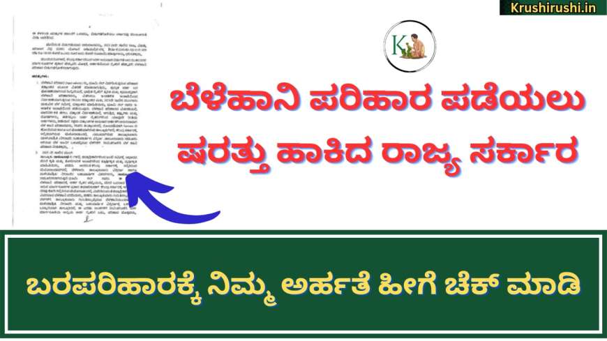 Conditions for croploss compensation-ಬೆಳೆಹಾನಿ ಪರಿಹಾರ ಪಡೆಯಲು ಷರತ್ತು ಹಾಕಿದ ರಾಜ್ಯ ಸರ್ಕಾರ, ಬರಪರಿಹಾರಕ್ಕೆ ನಿಮ್ಮ ಅರ್ಹತೆ ಹೀಗೆ ಚೆಕ್ ಮಾಡಿ