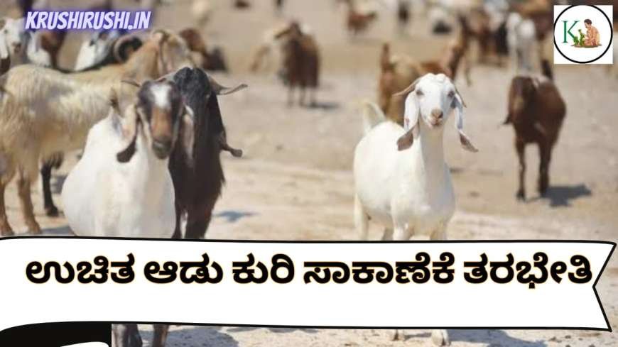 Free sheep and goat training-ಉಚಿತ ಊಟ ವಸತಿಯೊಂದಿಗ ಆಡು ಕುರಿ ಸಾಕಾಣೆಕೆ ತರಭೇತಿ