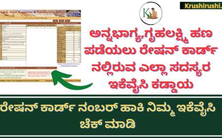 Ration card ekyc-ಅನ್ನಭಾಗ್ಯ,ಗೃಹಲಕ್ಷ್ಮಿ ಹಣ ಪಡೆಯಲು ರೇಷನ್ ಕಾರ್ಡ್ ನಲ್ಲಿರುವ ಎಲ್ಲಾ ಸದಸ್ಯರ ಇಕೆವೈಸಿ ಕಡ್ಡಾಯ, ರೇಷನ್ ಕಾರ್ಡ್ ನಂಬರ್ ಹಾಕಿ ನಿಮ್ಮ ಇಕೆವೈಸಿ ಚೆಕ್ ಮಾಡಿ