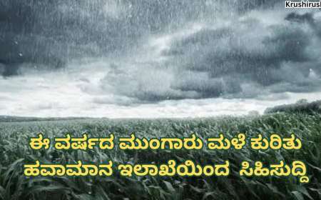 This year weather forecast 2024-ಈ ವರ್ಷದ ಮುಂಗಾರು ಮಳೆ ಕುರಿತು ಹವಾಮಾನ ಇಲಾಖೆಯಿಂದ  ಸಿಹಿಸುದ್ದಿ