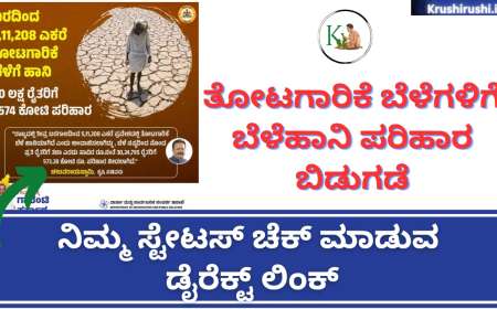 Horticulture croploss compensation released-ತೋಟಗಾರಿಕೆ ಬೆಳೆಗಳಿಗೆ ಬೆಳೆಹಾನಿ ಪರಿಹಾರ ಬಿಡುಗಡೆ, ನಿಮ್ಮ ಸ್ಟೇಟಸ್ ಚೆಕ್ ಮಾಡುವ ಡೈರೆಕ್ಟ್ ಲಿಂಕ್
