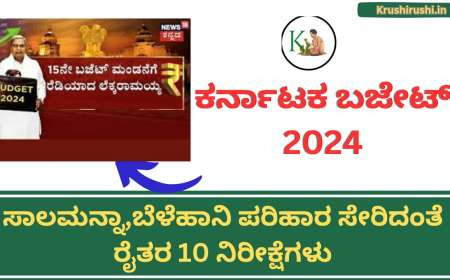 Karnataka budget-2024 ಸಾಲಮನ್ನಾ,ಬೆಳೆಹಾನಿ ಪರಿಹಾರ ಸೇರಿದಂತೆ ರೈತರ 10 ನಿರೀಕ್ಷೆಗಳು