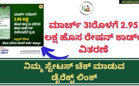 New ration card Status-ಮಾರ್ಚ್ 31ರೊಳಗೆ 2.95 ಲಕ್ಷ ಹೊಸ ರೇಷನ್ ಕಾರ್ಡ್ ವಿತರಣೆ, ನಿಮ್ಮ ಸ್ಟೇಟಸ್ ಚೆಕ್ ಮಾಡುವ ಡೈರೆಕ್ಟ್ ಲಿಂಕ್