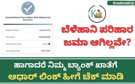 Croploss compensation to Aadhaar linked bank account-ಬೆಳೆಹಾನಿ ಪರಿಹಾರ ಜಮಾ ಆಗಿಲ್ಲವೇ? ಹಾಗಾದರೆ ನಿಮ್ಮ ಬ್ಯಾಂಕ್ ಖಾತೆಗೆ ಆಧಾರ್ ಲಿಂಕ್ ಹೀಗೆ ಚೆಕ್ ಮಾಡಿ
