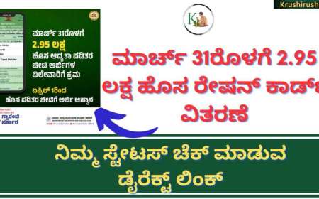 New ration card Status-ಮಾರ್ಚ್ 31ರೊಳಗೆ 2.95 ಲಕ್ಷ ಹೊಸ ರೇಷನ್ ಕಾರ್ಡ್ ವಿತರಣೆ, ನಿಮ್ಮ ಸ್ಟೇಟಸ್ ಚೆಕ್ ಮಾಡುವ ಡೈರೆಕ್ಟ್ ಲಿಂಕ್