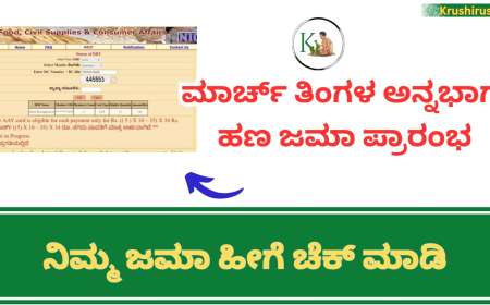 March month Annabhagya amount-ಮಾರ್ಚ್ ತಿಂಗಳ ಅನ್ನಭಾಗ್ಯ ಹಣ ಜಮಾ ಪ್ರಾರಂಭ,ನಿಮ್ಮ ಜಮಾ ಹೀಗೆ ಚೆಕ್ ಮಾಡಿ