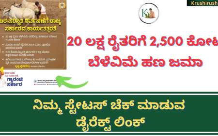 Belevime hana jama-20 ಲಕ್ಷ ರೈತರಿಗೆ 2,500 ಕೋಟಿ ಬೆಳೆವಿಮೆ ಹಣ ಜಮಾ,ನಿಮ್ಮ ಸ್ಟೇಟಸ್ ಚೆಕ್ ಮಾಡುವ ಡೈರೆಕ್ಟ್ ಲಿಂಕ್