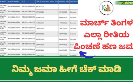 March month pension amount-ಮಾರ್ಚ್ ತಿಂಗಳ ಎಲ್ಲಾ ರೀತಿಯ ಪಿಂಚಣೆ ಹಣ ಜಮಾ,ನಿಮ್ಮ ಜಮಾ ಹೀಗೆ ಚೆಕ್ ಮಾಡಿ
