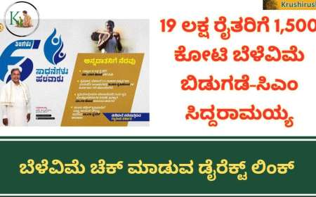 Cropinsurance amount released-19 ಲಕ್ಷ ರೈತರಿಗೆ 1,400 ಕೋಟಿ ಬೆಳೆವಿಮೆ ಹಣ ಬಿಡುಗಡೆ,ನಿಮ್ಮ ಸ್ಟೇಟಸ್ ಚೆಕ್ ಮಾಡುವ ಡೈರೆಕ್ಟ್ ಲಿಂಕ್