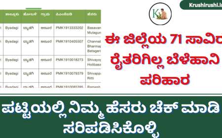 Belehani pending list-ಈ ಜಿಲ್ಲೆಯ 71 ಸಾವಿರ ರೈತರಿಗಿಲ್ಲ ಬೆಳೆಹಾನಿ ಪರಿಹಾರ,ಪಟ್ಟಿಯಲ್ಲಿ ನಿಮ್ಮ ಹೆಸರು ಚೆಕ್ ಮಾಡಿ ಸರಿಪಡಿಸಿಕೊಳ್ಳಿ