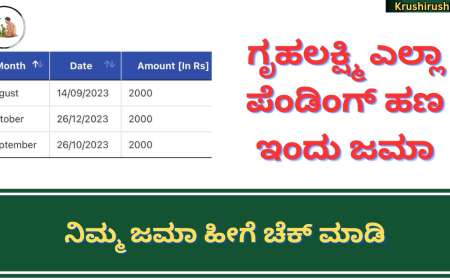 Gruhalakshmi pending payment-ಗೃಹಲಕ್ಷ್ಮಿ ಎಲ್ಲಾ ಪೆಂಡಿಂಗ್ ಹಣ ಇಂದು ಜಮಾ,ನಿಮ್ಮ ಜಮಾ ಹೀಗೆ ಚೆಕ್ ಮಾಡಿ