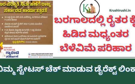 Madyanthara belevime parihara-ಬರಗಾಲದಲ್ಲಿ ರೈತರಿಗೆ ಕೈಕೊಟ್ಟ ಬೆಳೆಹಾನಿ, ಕೈ ಹಿಡಿದ ಮಧ್ಯಂತರ ಬೆಳೆವಿಮೆ ಪರಿಹಾರ,ನಿಮ್ಮ ಸ್ಟೇಟಸ್ ಚೆಕ್ ಮಾಡುವ ಡೈರೆಕ್ಟ್ ಲಿಂಕ್