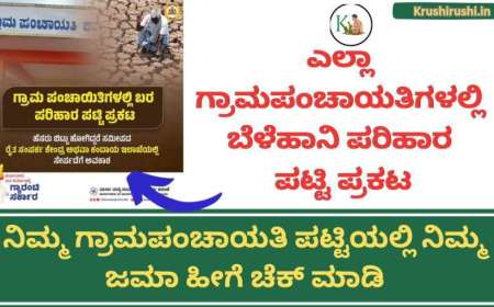 Belehani parihara patti prakata-ಎಲ್ಲಾ ಗ್ರಾಮಪಂಚಾಯತಿಗಳಲ್ಲಿ ಬೆಳೆಹಾನಿ ಪರಿಹಾರ ಪಟ್ಟಿ ಪ್ರಕಟ,ನಿಮ್ಮ ಗ್ರಾಮಪಂಚಾಯತಿ ಪಟ್ಟಿಯಲ್ಲಿ ನಿಮ್ಮ ಜಮಾ ಹೀಗೆ ಚೆಕ್ ಮಾಡಿ