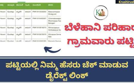 Belehani Parihara list-ಬೆಳೆಹಾನಿ ಪರಿಹಾರ ಗ್ರಾಮವಾರು ಪಟ್ಟಿಯಲ್ಲಿ ನಿಮ್ಮ ಹೆಸರು ಚೆಕ್ ಮಾಡುವ ಡೈರೆಕ್ಟ್ ಲಿಂಕ್